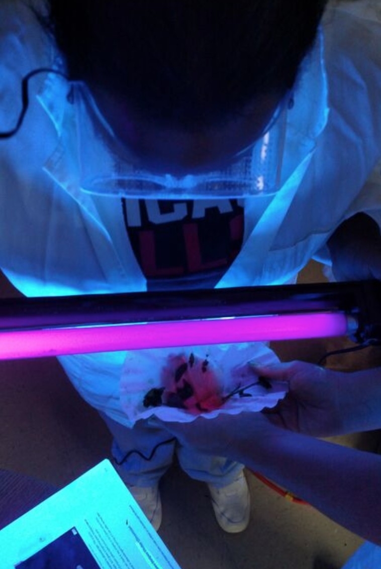 Life Shop Glows for Science